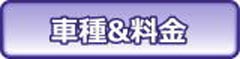 �Ԏ� ����